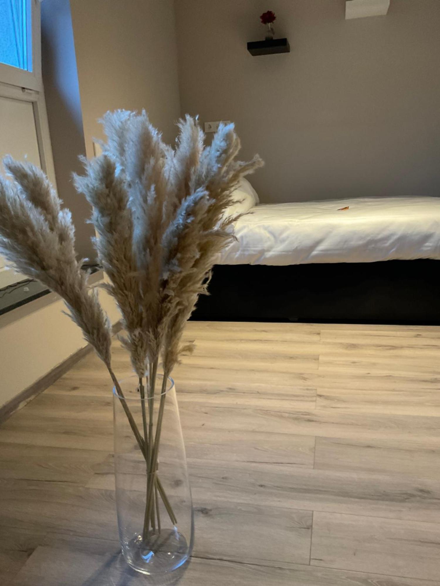 Modernes Studio Am Dreilaendereck Alsdorf Bagian luar foto
